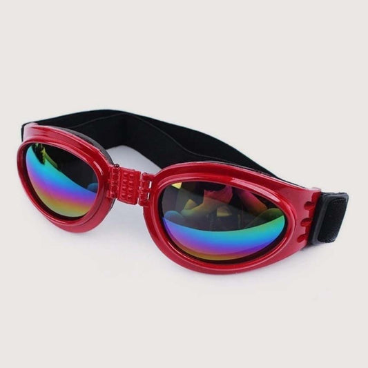 Gafas para perros