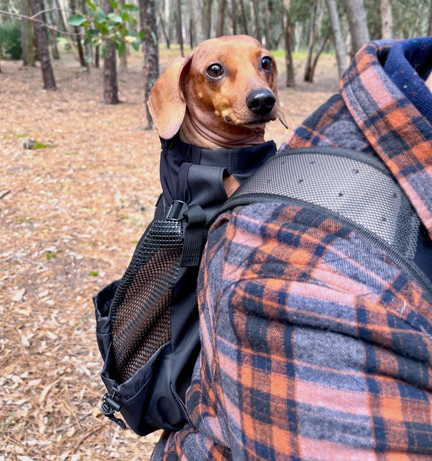 Mochila Transportadora para mascotas