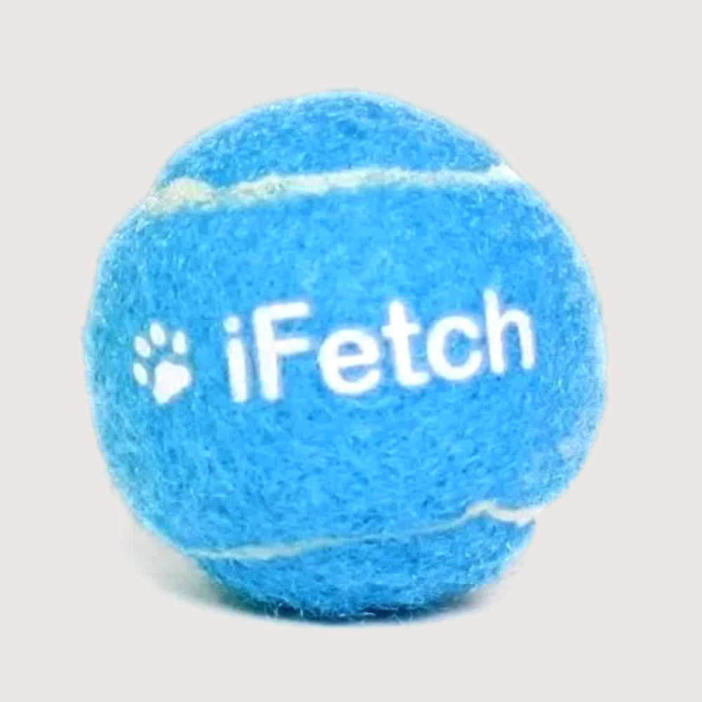 Pelota mini iFetch